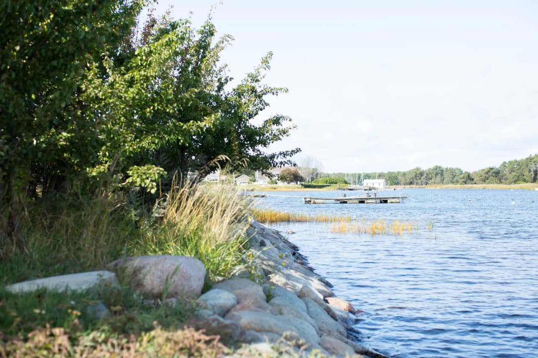 135 miljoner kronor till forskning för bättre miljö och bättre livskvalitet hos äldre personer