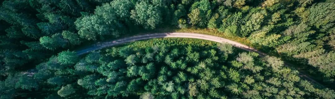 Utveckling av företagsverksamhet i Norrland