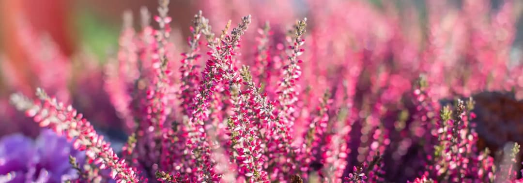 Stiftelsens styrelse har utsett ny ordförande och en verkställande direktör