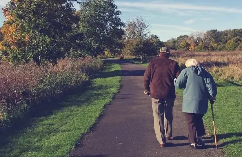 Beslut om årets forskningsanslag