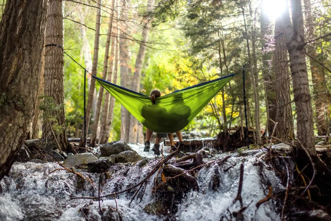 Vårens anslagsbeslut är här! Stiftelsen stödjer entreprenörskapsforskning med 75 miljoner kronor.